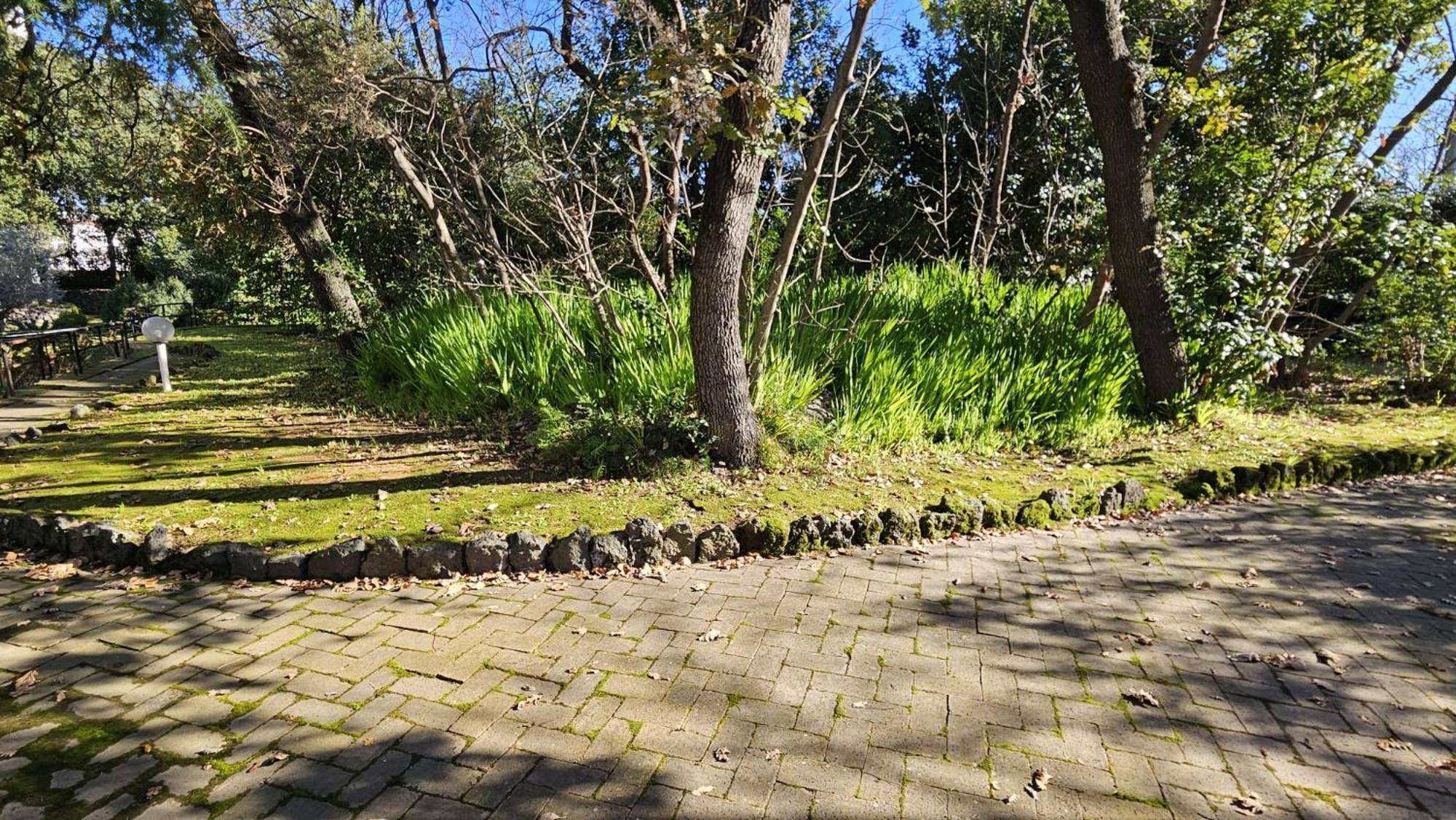 Villa Lia - Ischia Porto מראה חיצוני תמונה