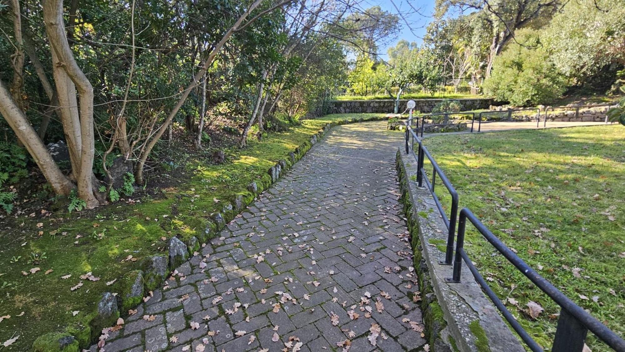 Villa Lia - Ischia Porto מראה חיצוני תמונה